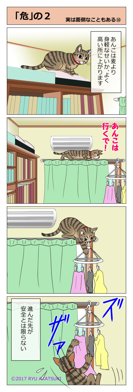 あんこ&麦mendo10