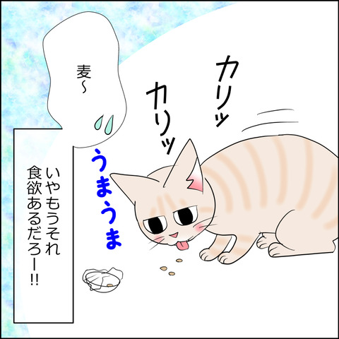 あんこ＆麦kenko115d