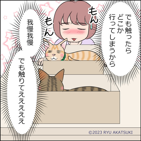 あんこ&麦STORY1952d
