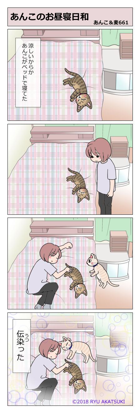 あんこ＆麦STORY661