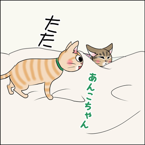 あんこ＆麦STORY1711b