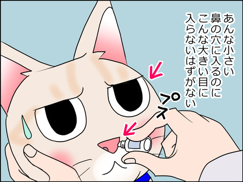 あんこ&麦STORY1531a