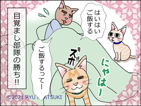 あんこ&麦STORY1502d