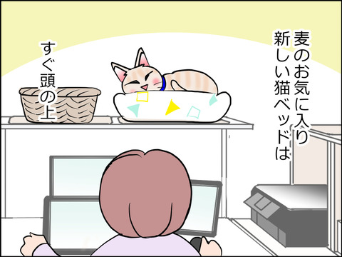 あんこ＆麦STORY1598a