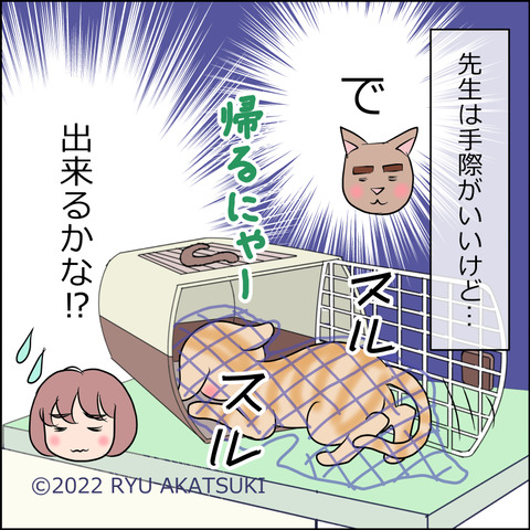 あんこ＆麦kenko56d