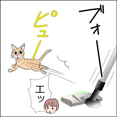 あんこ&麦STORY2374b