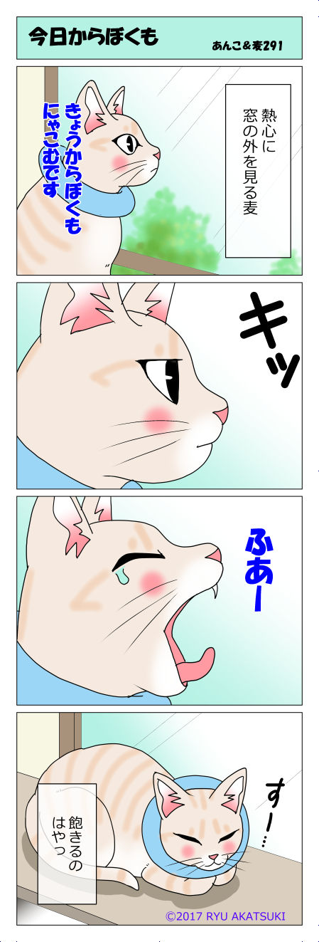 あんこ&麦STORY291
