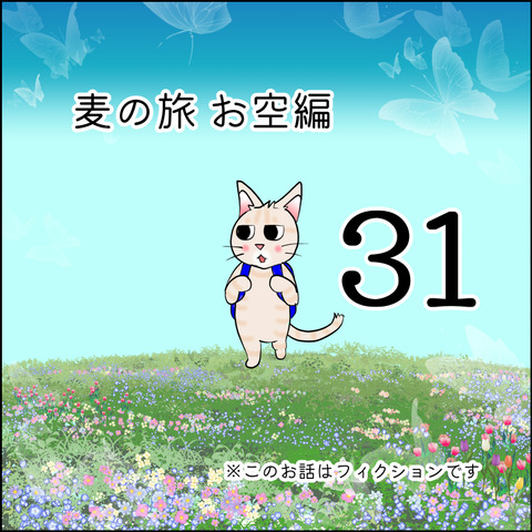mugitabix031@