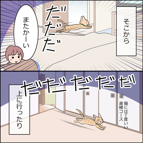 あんこ＆麦STORY2249b