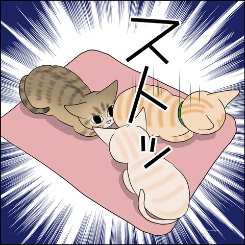 あんこ＆麦STORY2245c