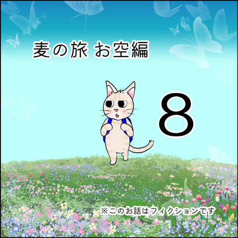 mugitabix008@