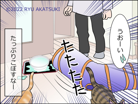 あんこ&麦STORY1517d
