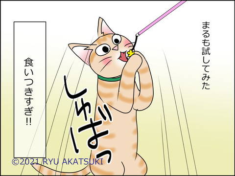 あんこ&麦STORY1456d