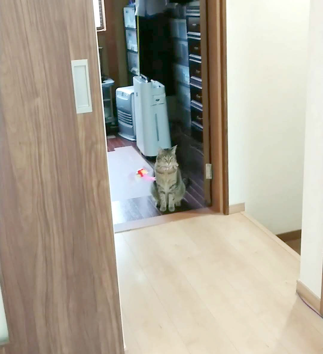 B612_20190430_033924_811_000006