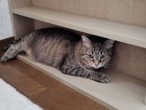 1722581997995_Original