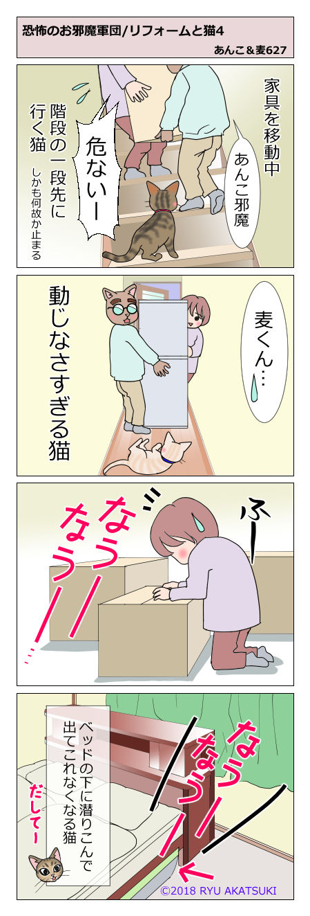 あんこ&麦STORY627
