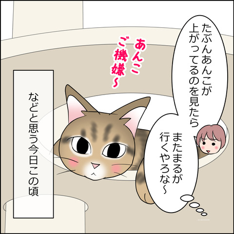 あんこ＆麦STORY2491d