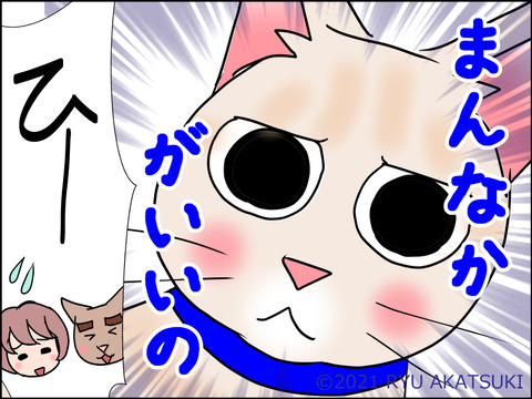あんこ&麦STORY1513d