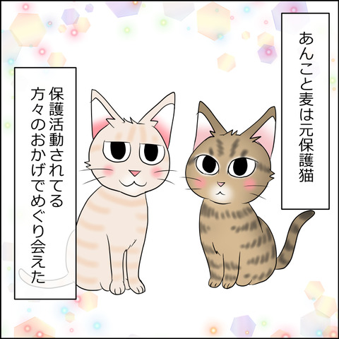 あんこ＆麦STORY2136a