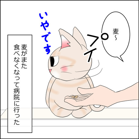 あんこ&麦kenko123a