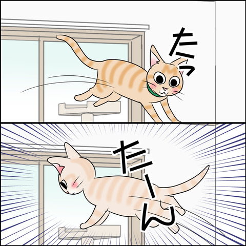 あんこ＆麦kenko86c