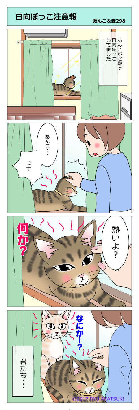 あんこ&麦STORY298