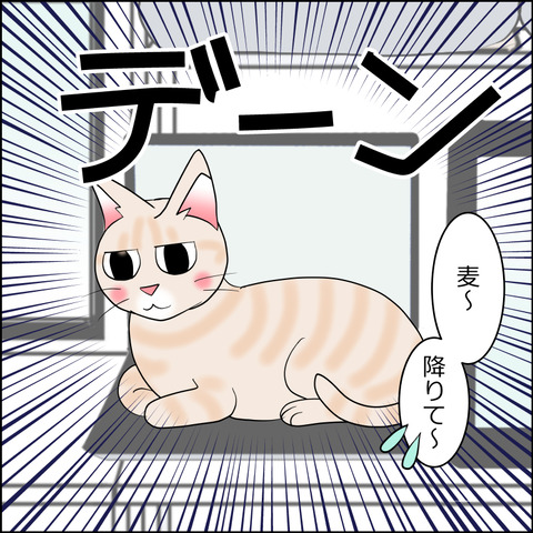 あんこ＆麦STORY2361a