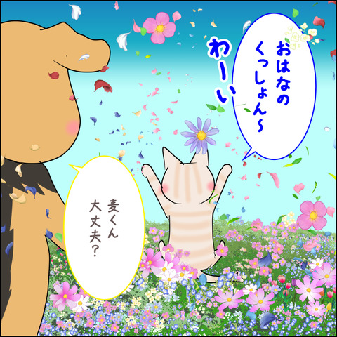 mugitabix002d
