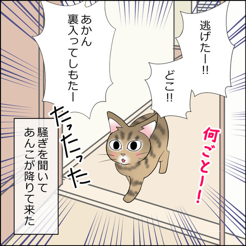 あんこ＆麦STORY2169c