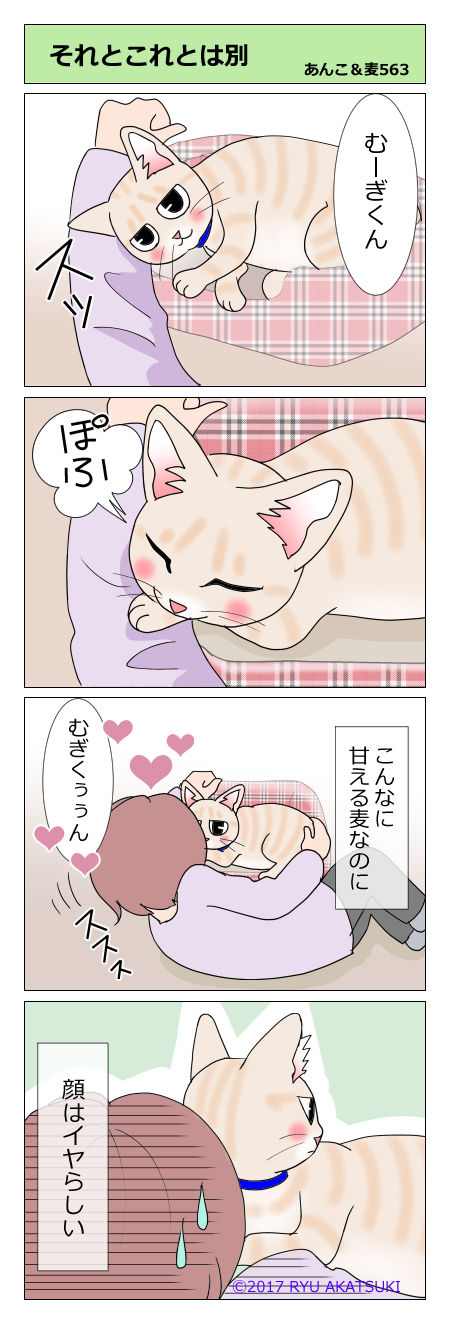 あんこ&麦STORY563