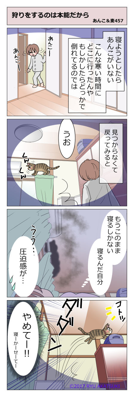 あんこ&麦STORY457