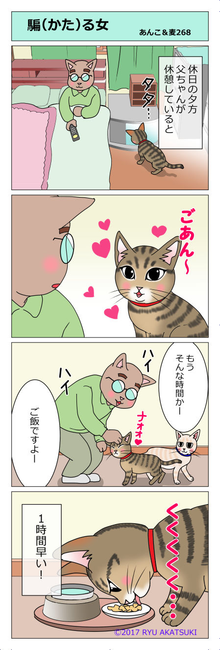 あんこ&麦STORY268