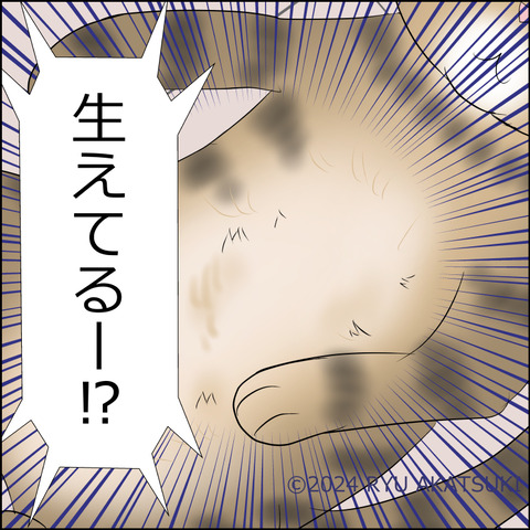 あんこ＆麦kenko96d