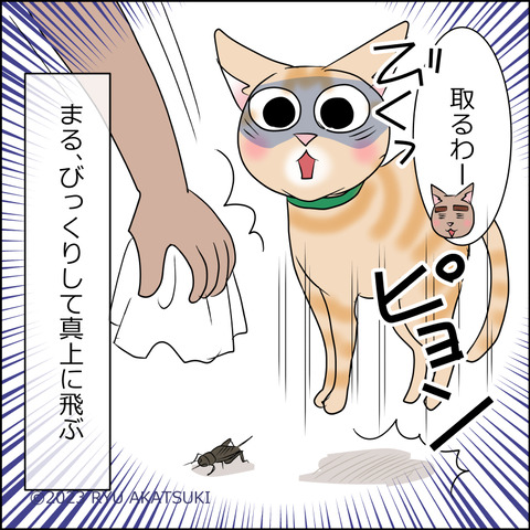 あんこ&麦STORY1957d