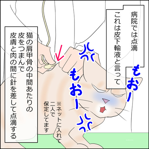 あんこ&麦kenko123c