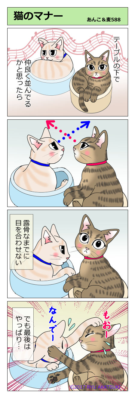 あんこ&麦STORY588
