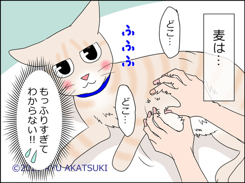 あんこ&麦STORY1431d