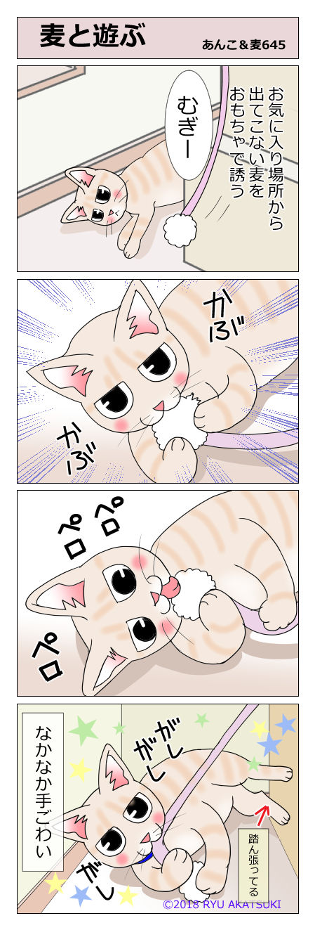 あんこ&麦STORY645
