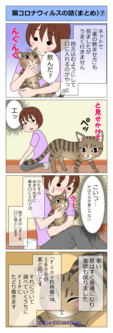 あんこ&麦kenko07