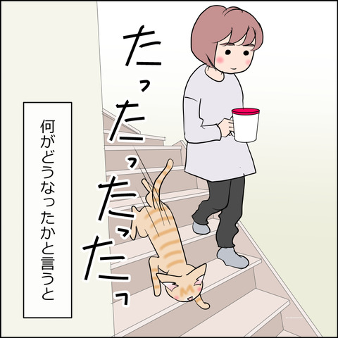 mugitabi029c