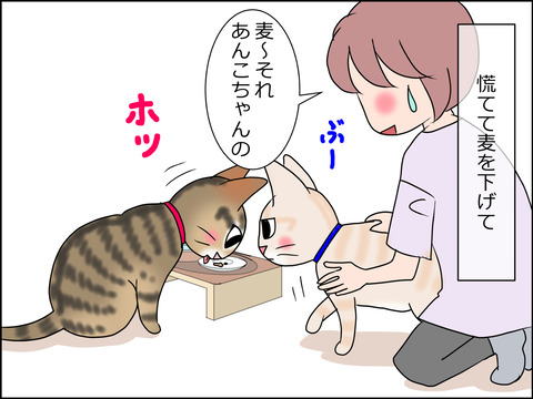 あんこ&麦STORY1447b