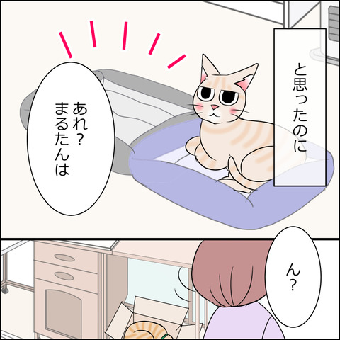 あんこ＆麦STORY2046c