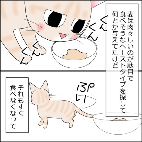 あんこ＆麦kenko110b