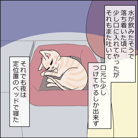 mugitabi022d