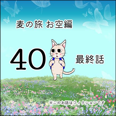 mugitabix040@