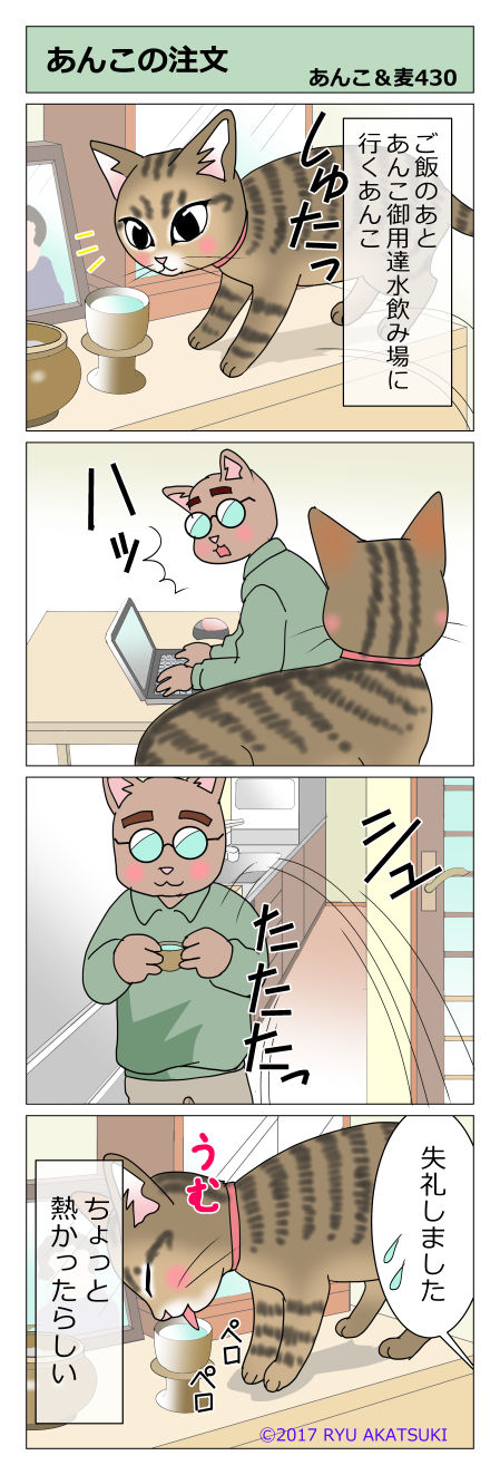 あんこ&麦STORY430