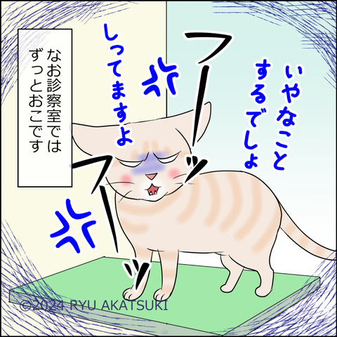 あんこ&麦kenko95d
