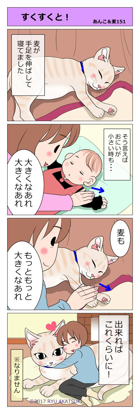 あんこ＆麦STORY151