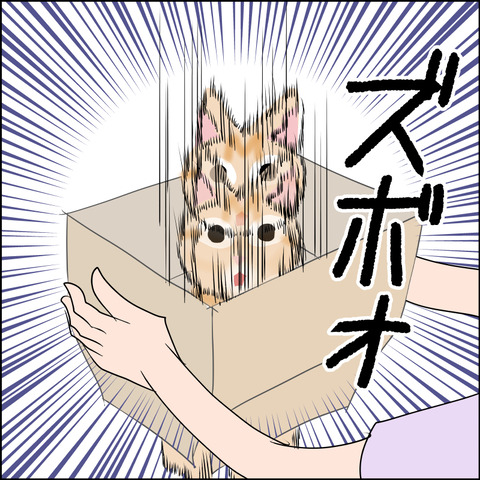 あんこ＆麦STORY1971c