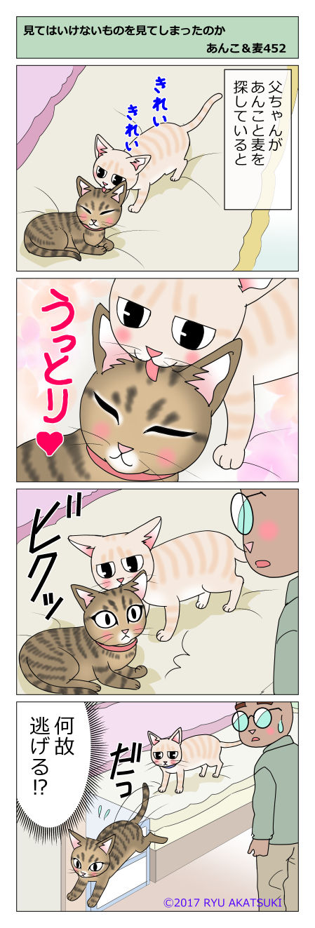 あんこ&麦STORY452